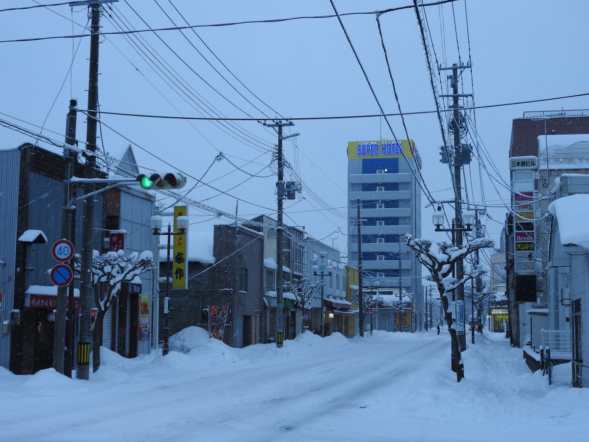 産馬通り