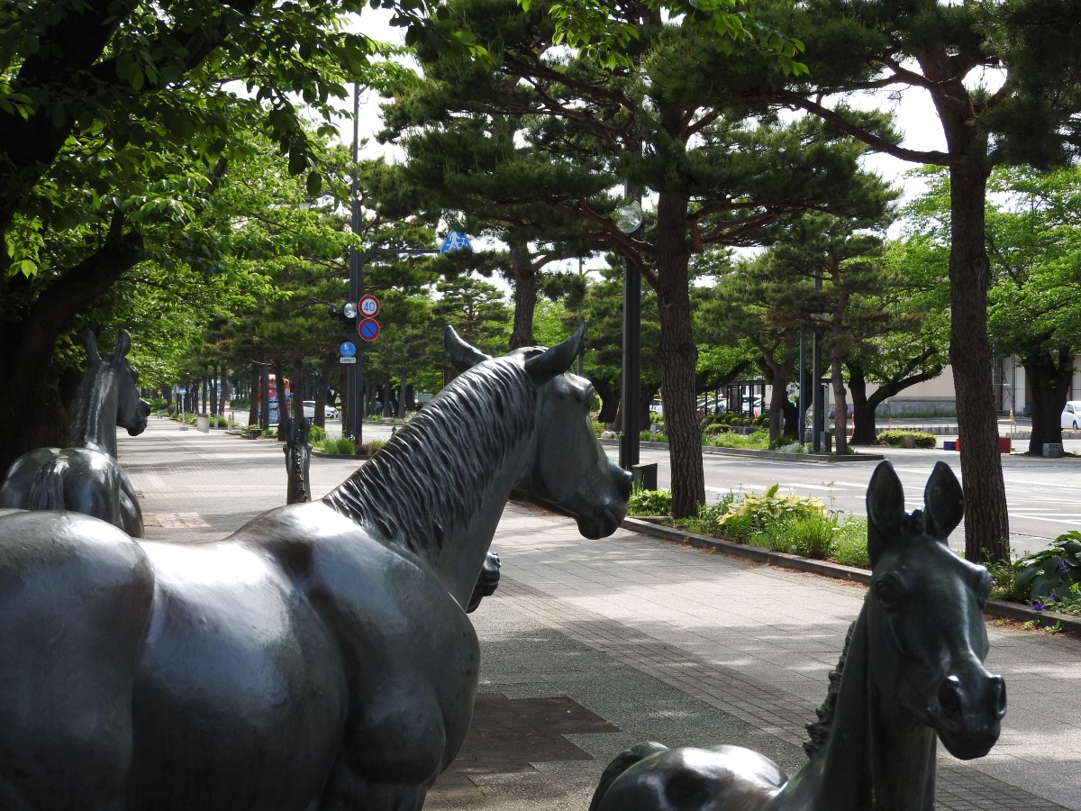 官庁街通り