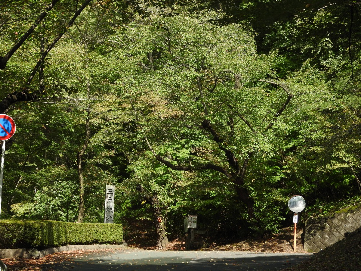 城山公園