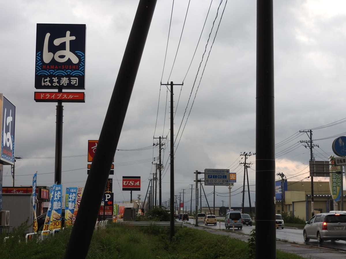 柏